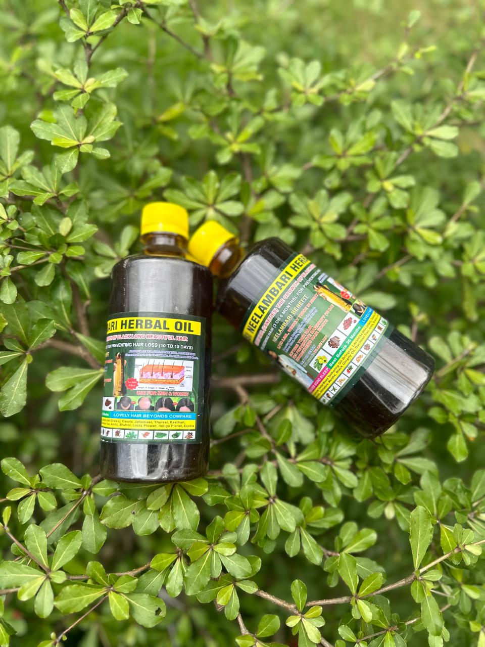 Adivasi Neelambari Herbal Hair Oil🌿